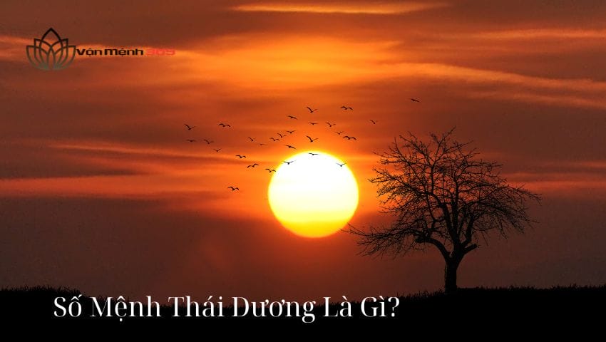 Số Mệnh Thái Dương Là Gì?