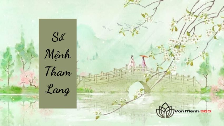 Số Mệnh Tham Lang Là Gì? Luận Giải Chính Xác Và Chi Tiết