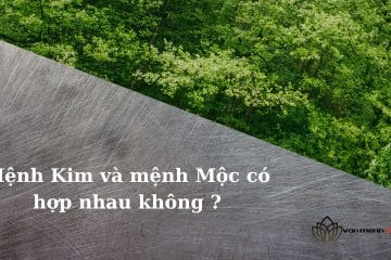 Giải Đáp: Mệnh Kim Và Mệnh Mộc Có Hợp Nhau Không?