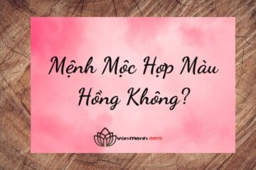 Mệnh Mộc Hợp Màu Hồng Không?