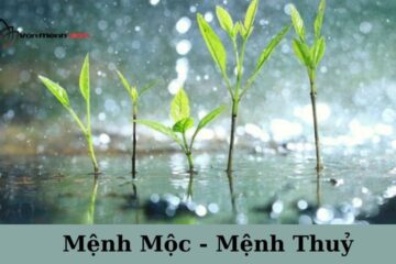 Mệnh Thuỷ Hợp Mệnh Mộc Không